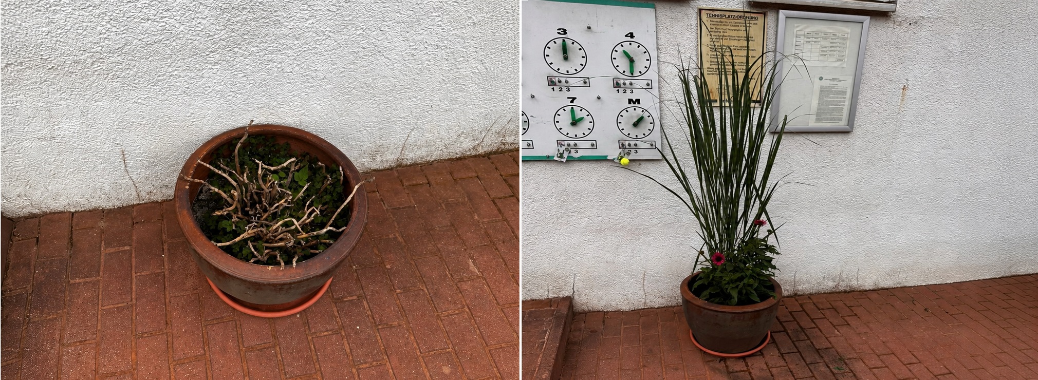 Blumenkübel 2 Terrasse Vorher Nachher