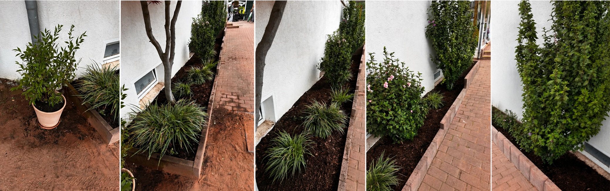 Grünstreifen Terrasse P3 Nachher