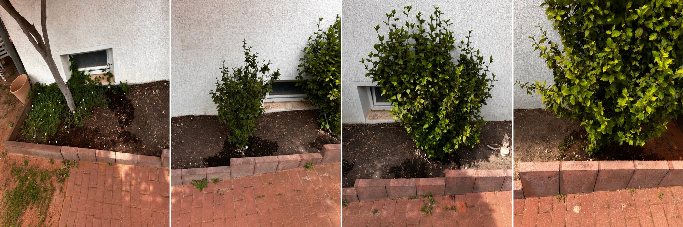 Grünstreifen Terrasse P3 Vorher